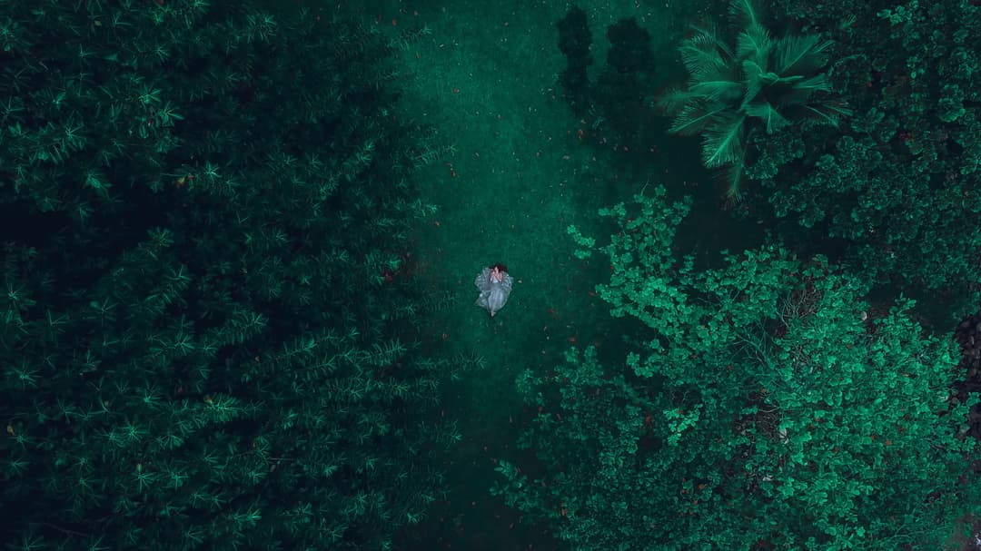 Birdseye photograph of a woman wearing a dress floating down a river, facing up towards the sky.
