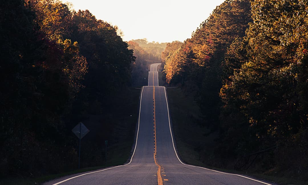 Alpine roads between trees photo