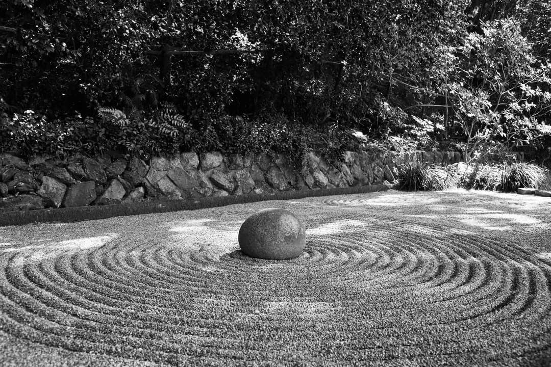Grayscale photo of stone near leaves